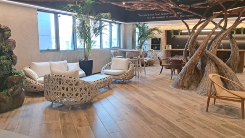 אול אין נתניה, נתניה