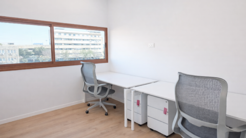 אול אין חיפה, חיפה